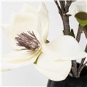 Декоративное растение Helleborus, A01 бежевый/зеленый, H120см