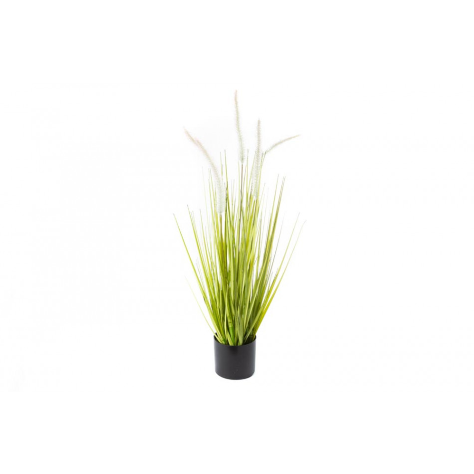Dekoratīvs augs Dogtail grass podiņā, H64cm