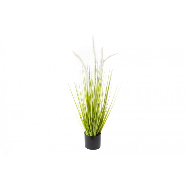 Dekoratīvs augs Dogtail grass podiņā, H64cm