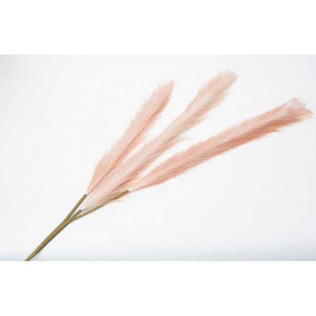 Декоративное растение Malepartyus Morning light, H140cm