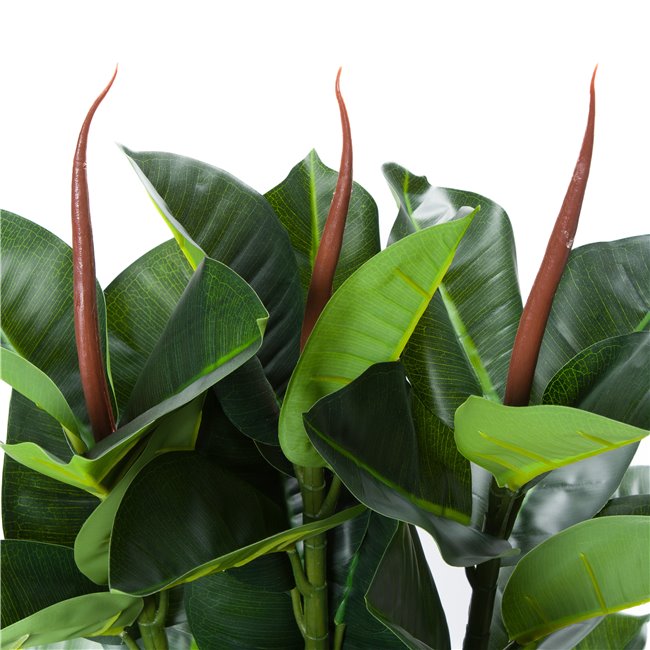 Artificial ficus Robusta, H120cm