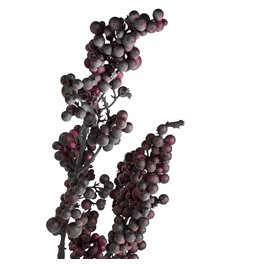 Zars Salve Purple, H96cm