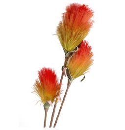 Zars Mariani Red, H110cm