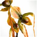 Декоративное растение Orhideja I, H78cm