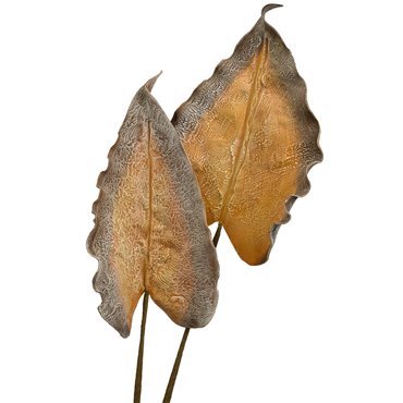 Medera OR, H90cm