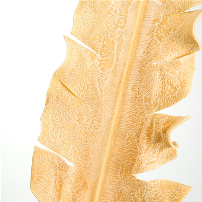 Декоративное растение Euphorbia OR, H100cm