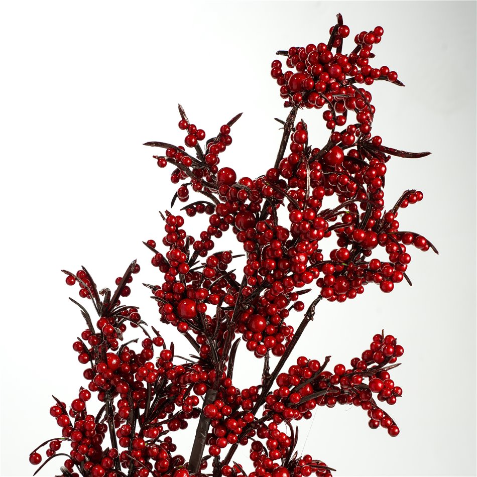 Декоративное растение Amaranthus RD, H73cm