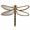 Sienas dekors  Dragonfly, 46x36x5cm