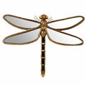 Wall decoration Dragonfly, 46x36x5cm