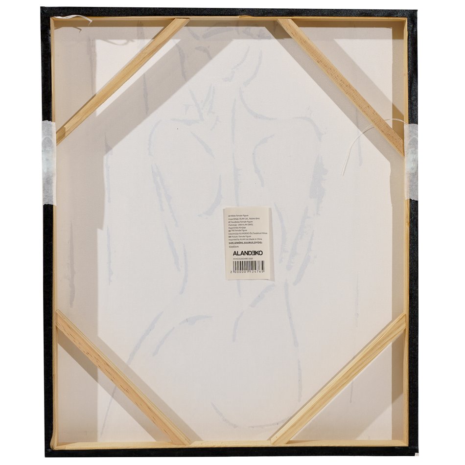 Картина на холсте Female Figure, H60x50x3.7cm