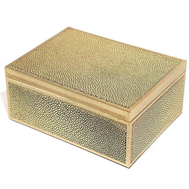 Box plasic Fulga golden M, H8.5x20x15cm