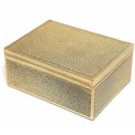 Box plasic Fulga golden M, H8.5x20x15cm