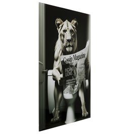 Стеклянная картина Bath Lioness, 60x80cm