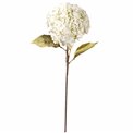 Dekoratīvs zieds Hydrangea White, balts, H74cm