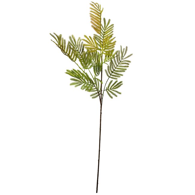 Decorative plant Mimosa leaves spray, green/orange, H90cm