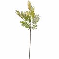 Decorative plant Mimosa leaves spray, green/orange, H90cm