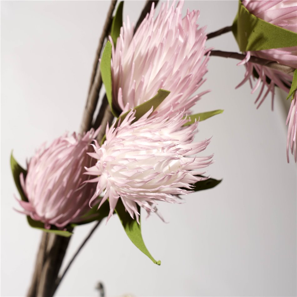 Decorative plant Eryngium planum, pink, H119cm