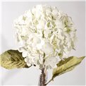 Dekoratīvs zieds Hydrangea White, balts, H74cm