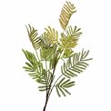 Decorative plant Mimosa leaves spray, green/orange, H90cm