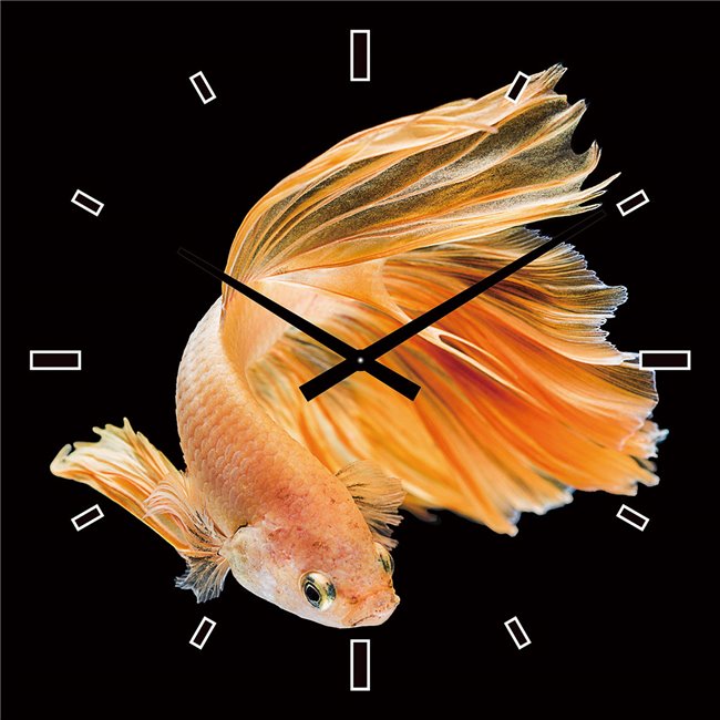 Painting wall clock Golden fish, 60x60cm