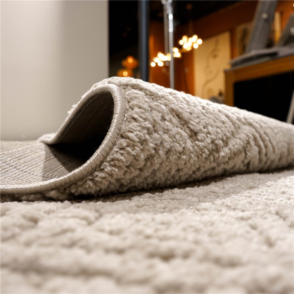 Carpet Alloy 22001/B6X/J, light brown, 200x285cm