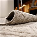 Carpet Alloy 22001/B6X/J, light brown, 200x285cm