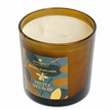 PFM candle Plum wood berry, 400g., H10cm, D10.3cm