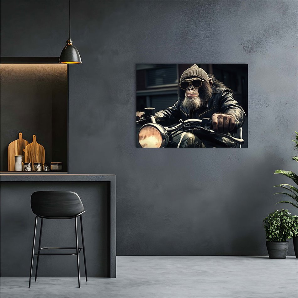 Стеклянная картина Cool Rider, 60x80cm