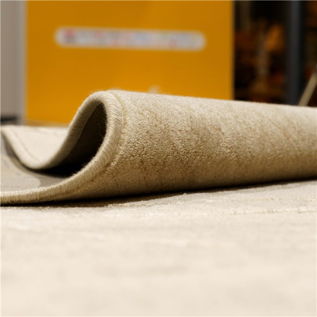 Carpet Ferda, light brown, 160x230cm
