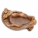 Декоративная посуда Frog, бронзового цвета, H10.5x20x16cm