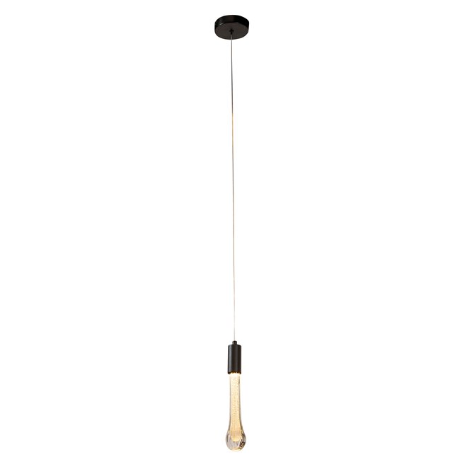 Pendant lamp Selva 1,  transparent/black, H30-150cm, D10cm, LED 5W, 3000K-6000K, 500lm