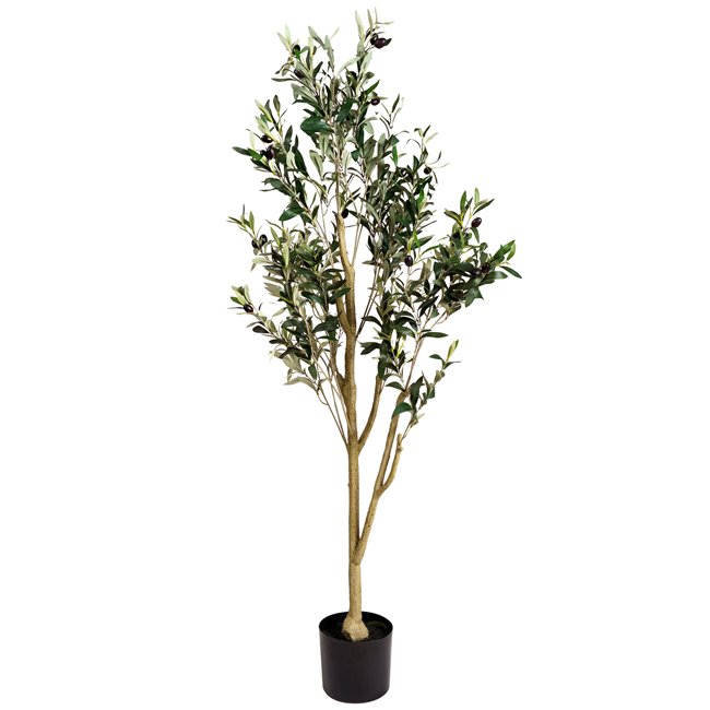 Decorative plant Barberis Green in pot, H140cm, D65cm