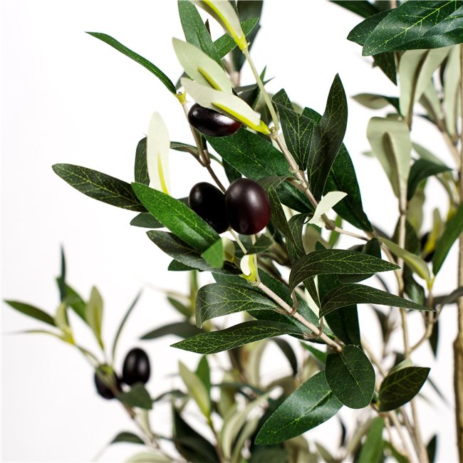 Decorative plant Barberis Green in pot, H140cm, D65cm