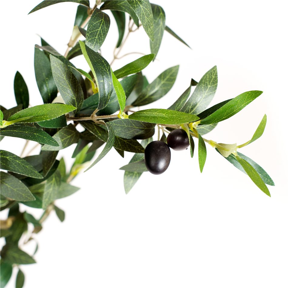 Decorative plant Barberis Green in pot, H140cm, D65cm