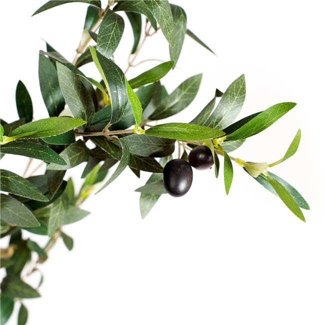 Decorative plant Barberis Green in pot, H140cm, D65cm