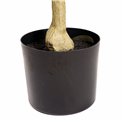 Decorative plant Barberis Green in pot, H140cm, D65cm