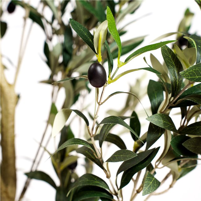 Decorative plant Barberis Green in pot, H140cm, D65cm