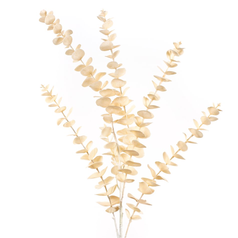 Декоративное растение Berberis CR yellow CR, желтый, H90cm