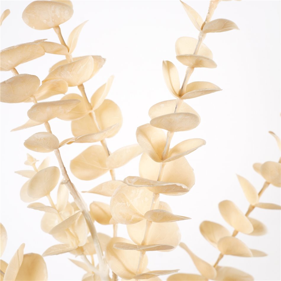 Декоративное растение Berberis CR yellow CR, желтый, H90cm