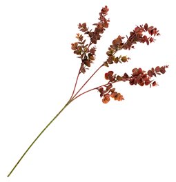 Dekoratīvs augs Berberis Green/red, zaļš/sarkans, H65cm