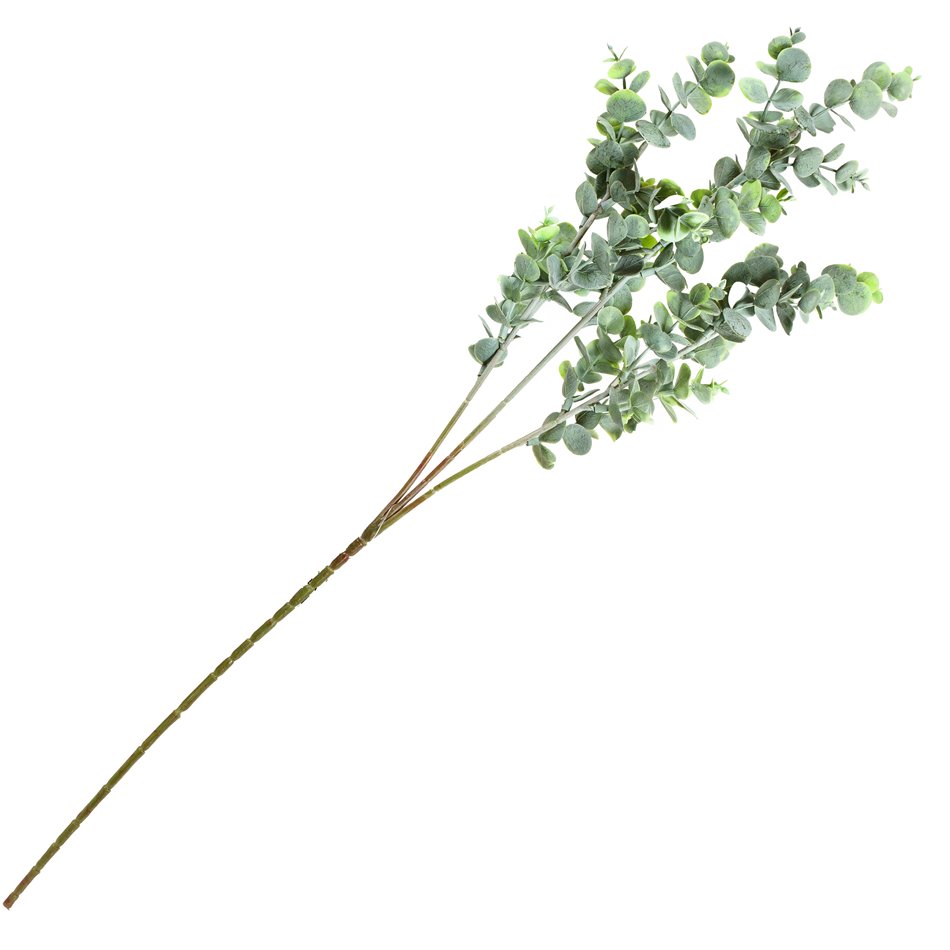 Dekoratīvs augs Berberis Green/white, zaļš/balts, H65cm