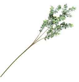 Dekoratīvs augs Berberis Green/white, zaļš/balts, H65cm