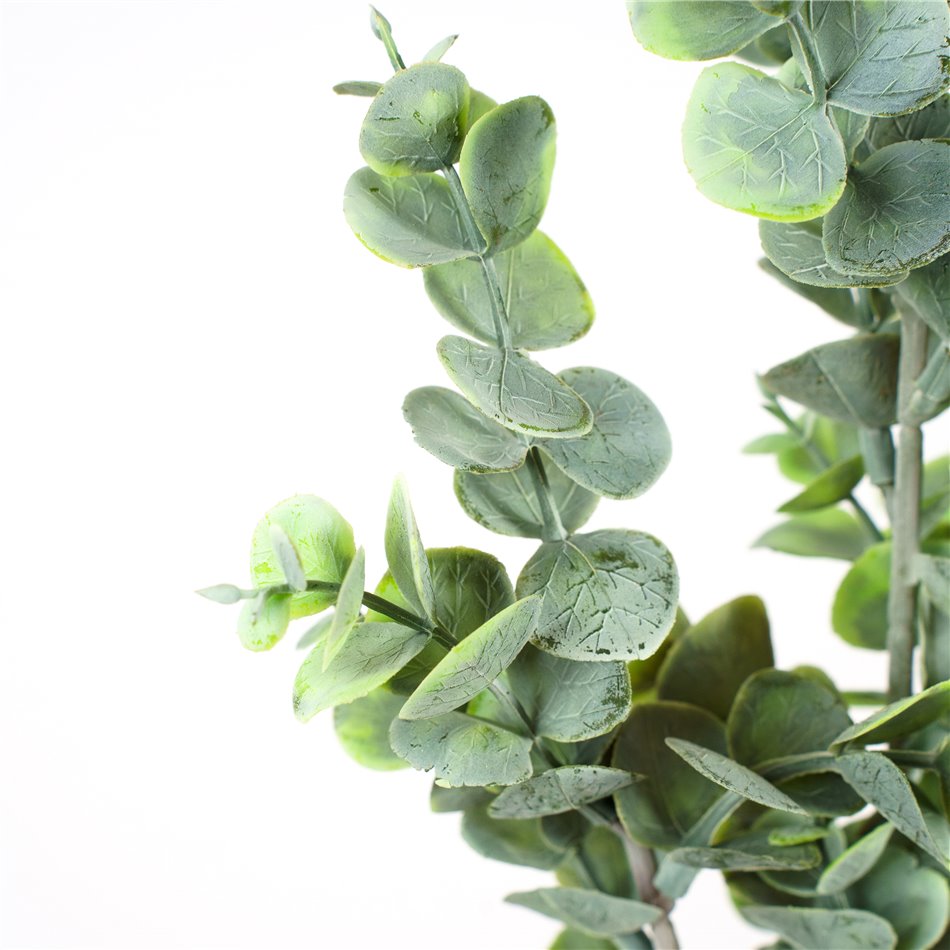 Dekoratīvs augs Berberis Green/white, zaļš/balts, H65cm