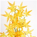 Decorative plant Mountain Fire yellow, H65cm