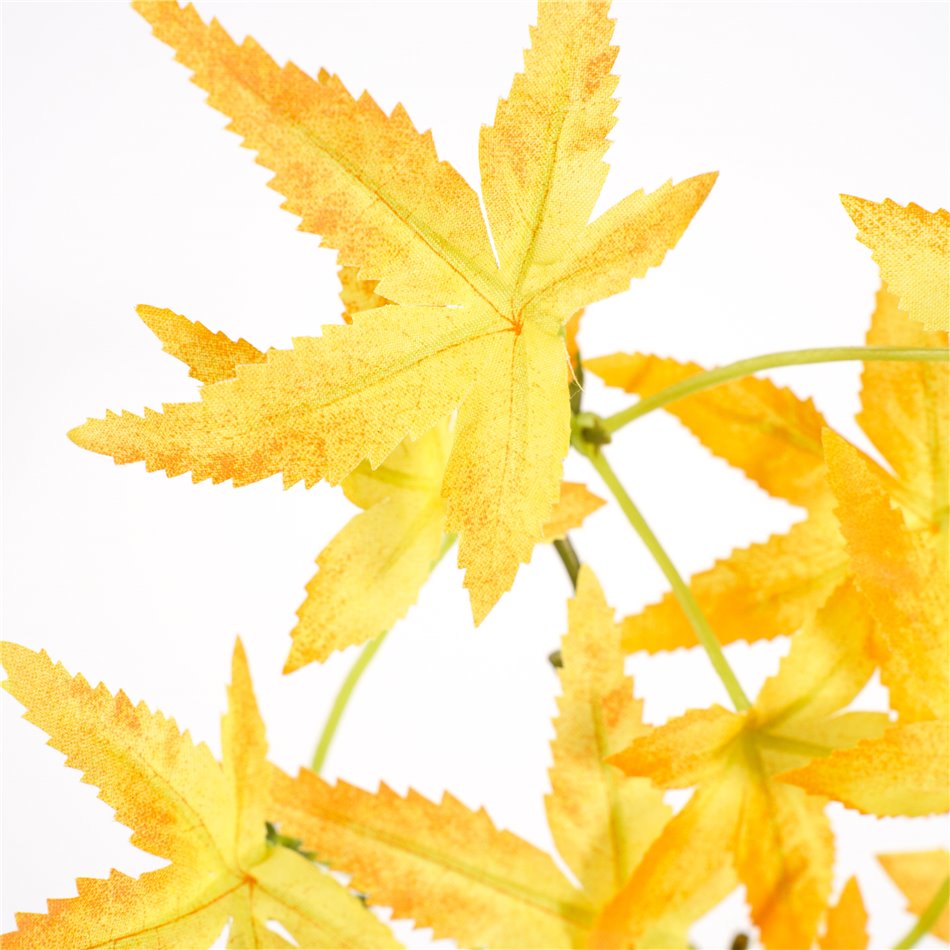 Decorative plant Mountain Fire yellow, H65cm