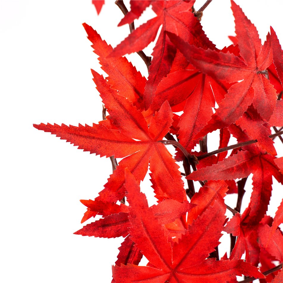 Декоративное растение Mountain Fire red, коричневый/красный, H65cm