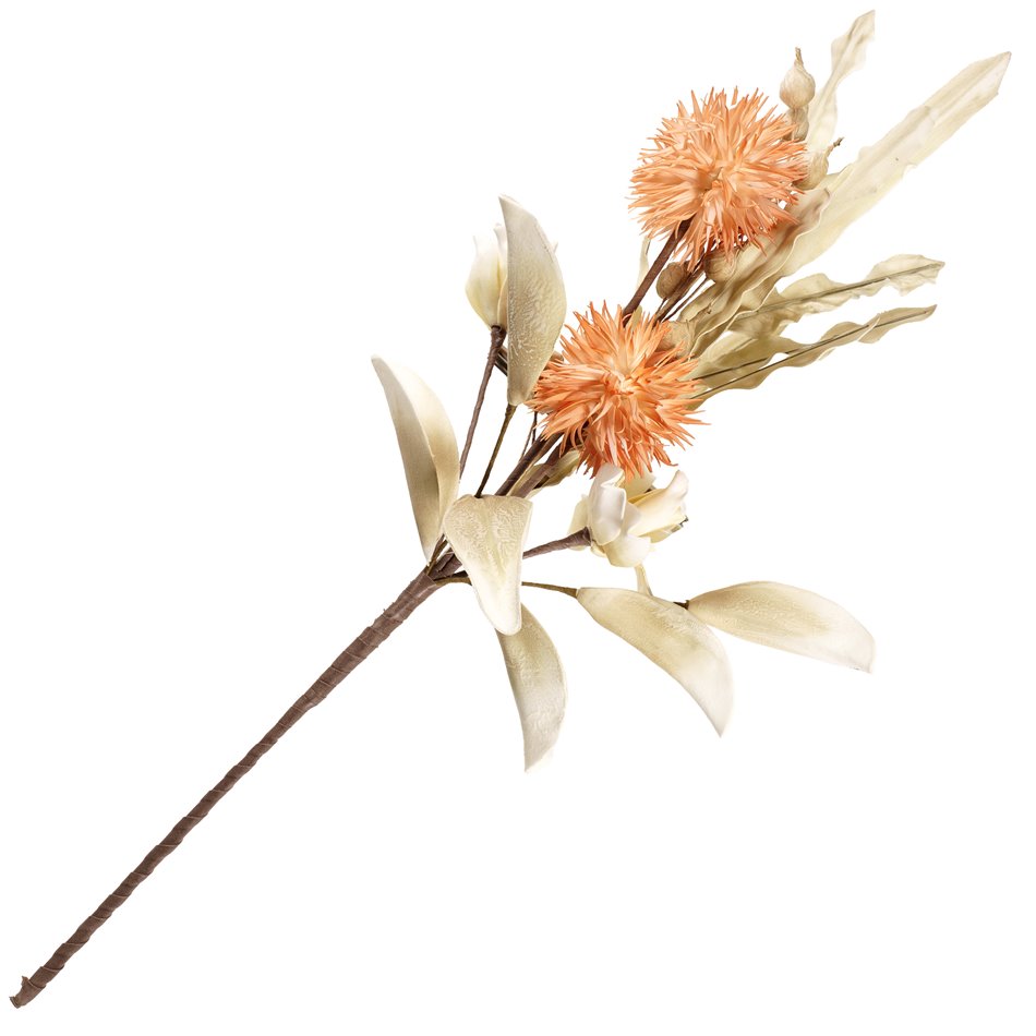 Decorative plant Miracle CR.OR.COF1, H80cm