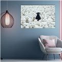 Canva Black Sheep, 80x120cm