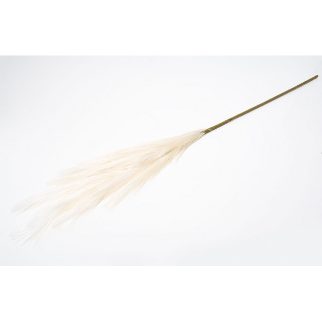 Decorative plant Alopecurus, cream colour, H110cm