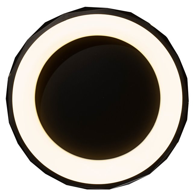 Потолочный светильник Ruidera black, черно-белый, H12cm, D50cm, LED 28.8W, 3000K, 2300lm